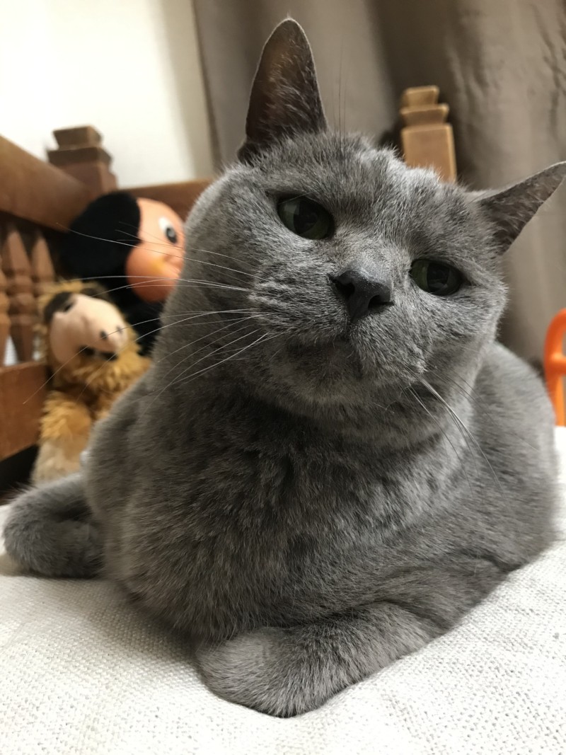 2022　5月　ロア