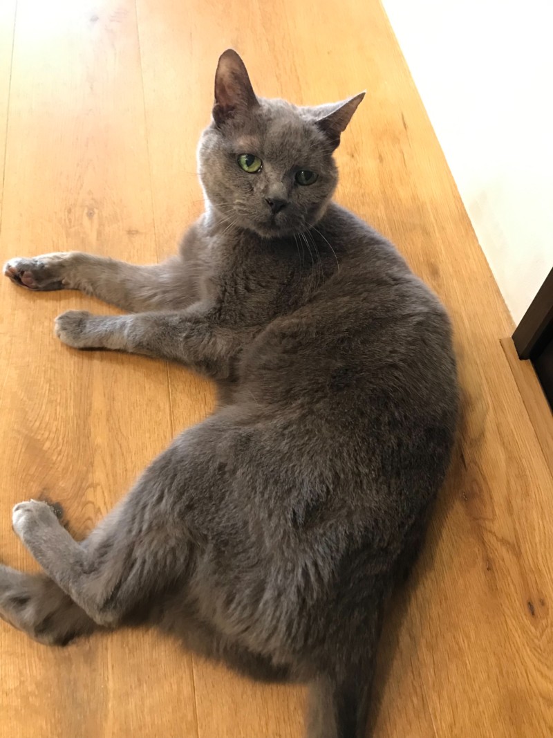 2022　7月ロア店長