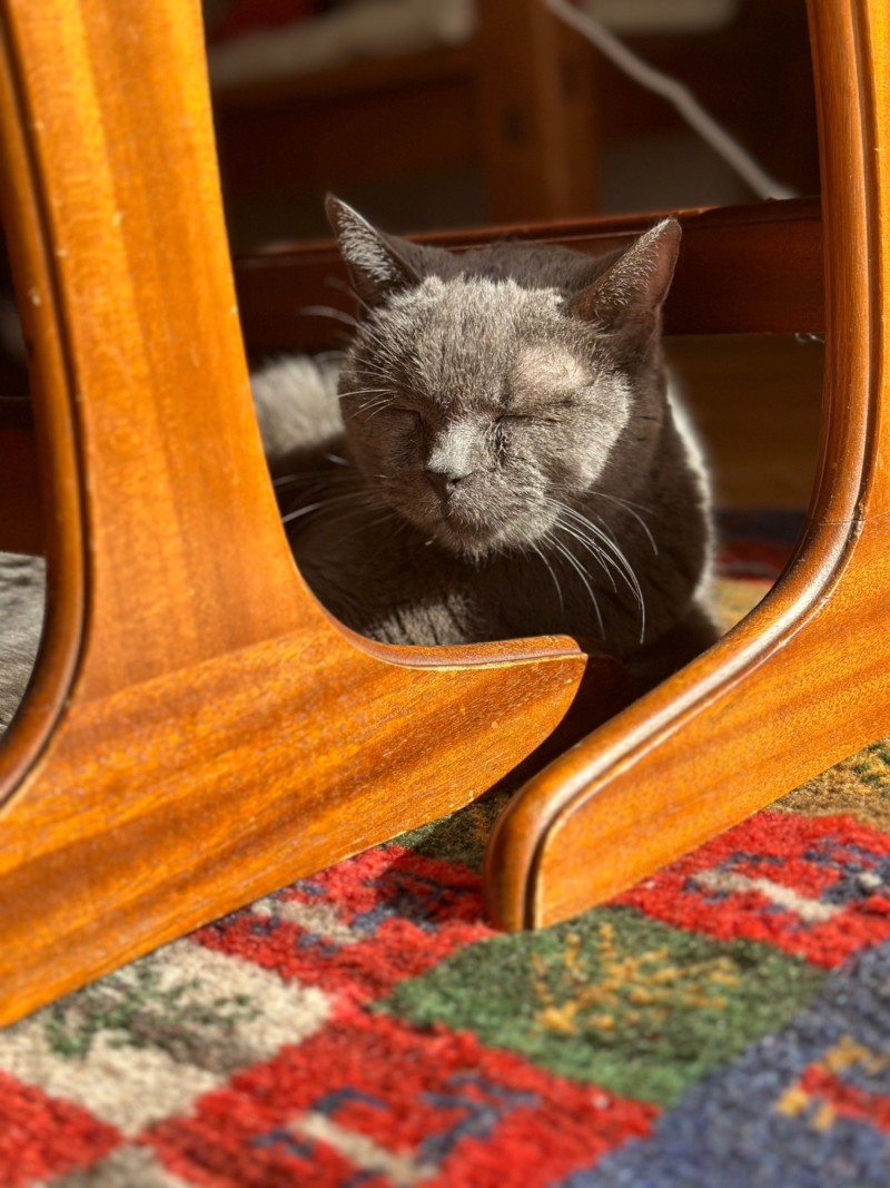 2022　11月　ロア店長