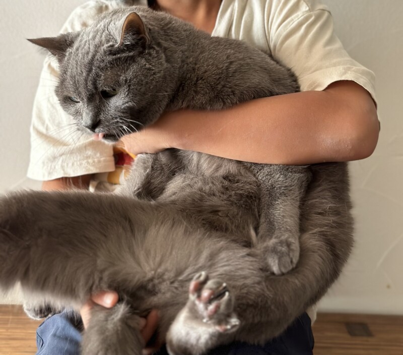 2022　１２月ロア店長