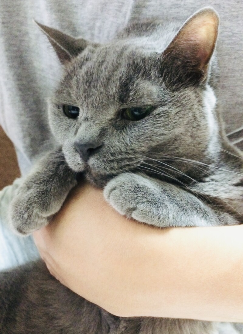 ロア店長　ファイナル