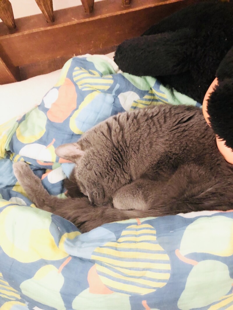 2023　３月ロア店長